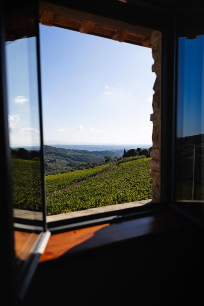 Villa privata con piscina a Riparbella Castellina Marittima Esterno foto
